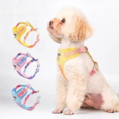 2025 Newest Dog Harness - Trendy  Pet Vest with Leash Set, Adjustable Soft Puppy Chest Strap for Small Medium Large Dogs, F