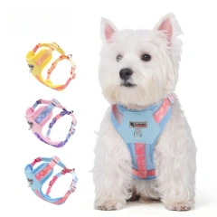 2025 Newest Dog Harness - Trendy  Pet Vest with Leash Set, Adjustable Soft Puppy Chest Strap for Small Medium Large Dogs, F