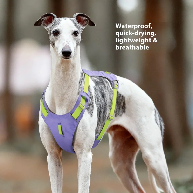 Escape Proof Dog Harness Lightweight - Breathable Quick Dry Mesh with Reflective Strips for Small Dogs Outdoor Use
