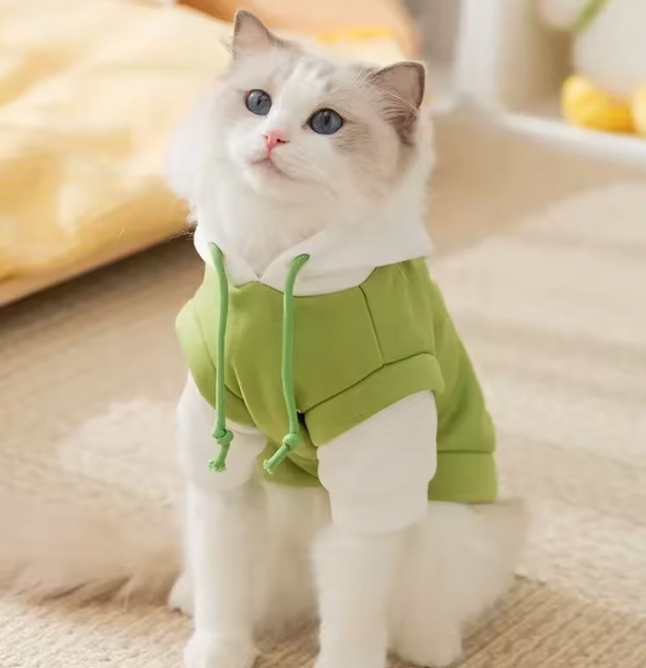 Autumn Winter Hooded Trendy Casual Dog Hoodie for Cats Small  Warm Compared Clothes