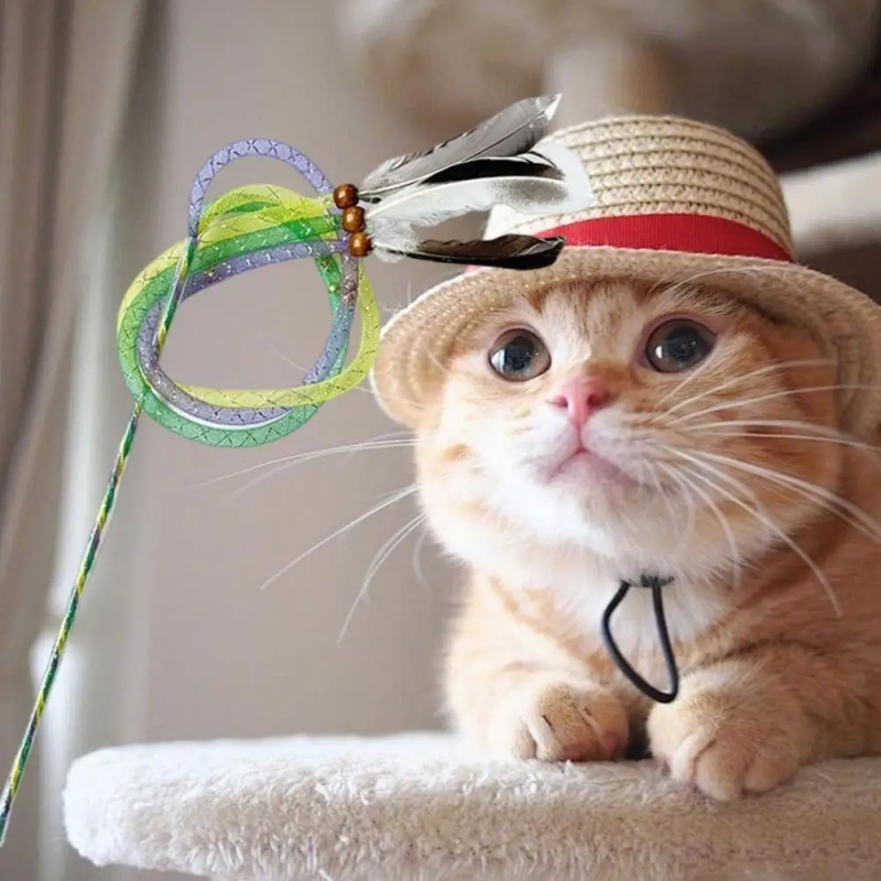 Cat Toy for Solo Play Bite-resistant Cat Toy Feather Teasing Cat Stick Toy Rod with Elastic Mesh Tube Kitten Pet for Birthday