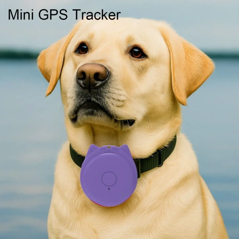 Anti-lost Mini GPS Tracker Bluetooth 5.2 Cartoon Shape Pet Bluetooth Tracker Wireless Plastic Alarm GPS Locator