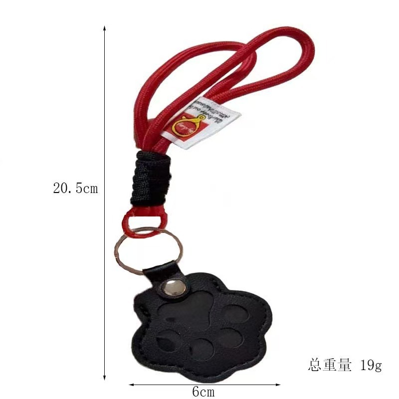 Pet Hair Souvenir Key Pendant
