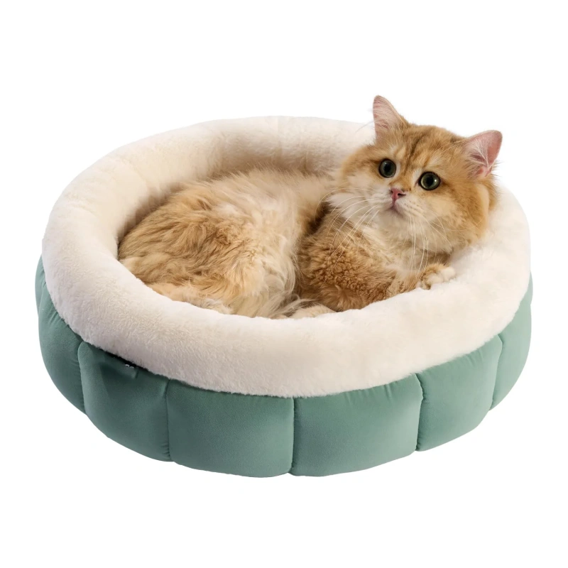 Creative and Trendy Winter Warmth Pet Dog Bed Fashion Style with Solid Pattern Comfortable Cloth Material