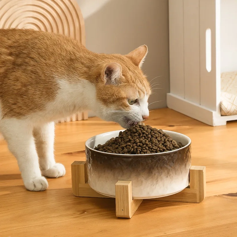 Ceramic Dog Cat Bowl with Wood Stand for Food and Water Elevated Raised Cat Food Bowls