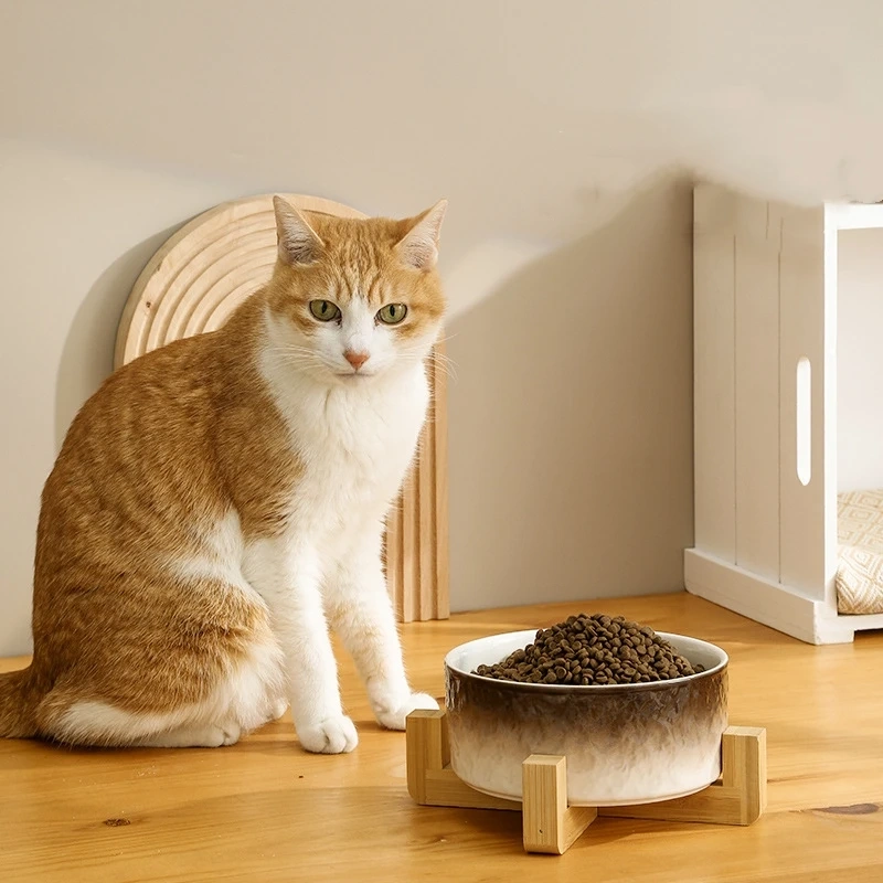 Ceramic Dog Cat Bowl with Wood Stand for Food and Water Elevated Raised Cat Food Bowls