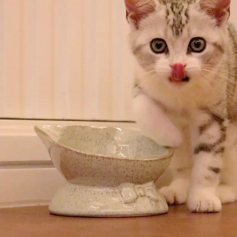 Ceramic Bowl for Cats Dogs Neck Protection Slanted Mouth Pet Feeders