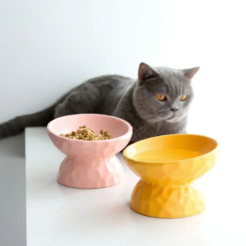 ceramic Raised Cat Bowls, Tilted Elevated Food or Water Bowls , Stress Free, Backflow Prevention, Dishwasher and Microwave Safe