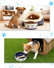 6-inch pet ceramic bowl