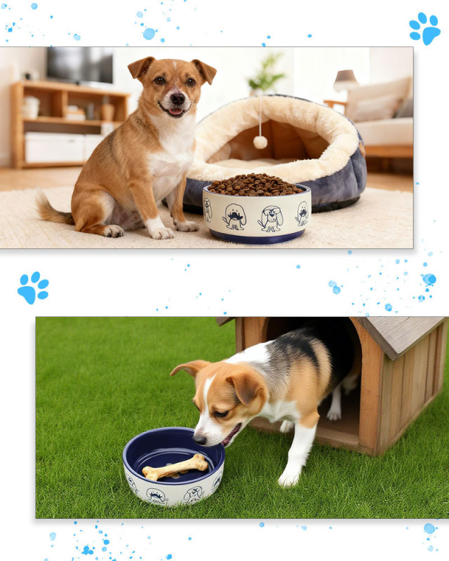 6-inch pet ceramic bowl