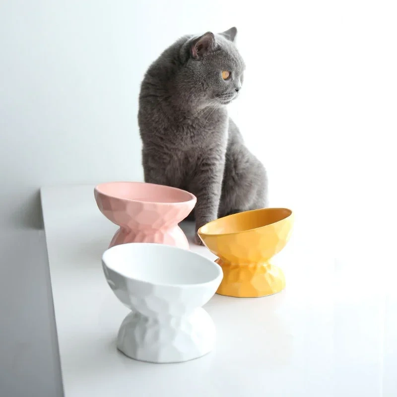 ceramic Raised Cat Bowls, Tilted Elevated Food or Water Bowls , Stress Free, Backflow Prevention, Dishwasher and Microwave Safe
