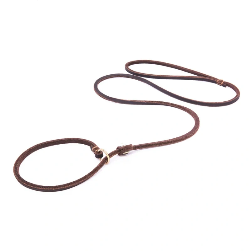 Soft Genuine Leather Pet Slip Leash Dog Lead and Collar Combo Adjustable for Small Dogs Puppy Walking Leash Doggy Slip P Chain