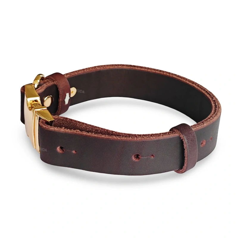 Luxury leather dog collar, genuine leather pet collar, handmade dog neck collar with top layer cowhide and metal buckle