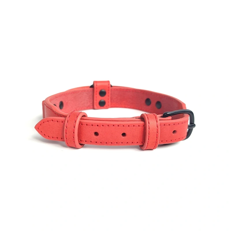 Hot Sale Pet Collar Leather Heavy Duty Real Leather Dog Collar for Pet Training Walking Products Pet Supplies