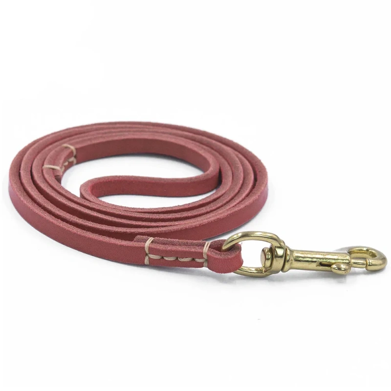 100% Genuine Leather Dog Leash Quality Handmade Durable Soft Real Leather Small Dog Leash for Puppy Pet Cat Walking Leads Rope