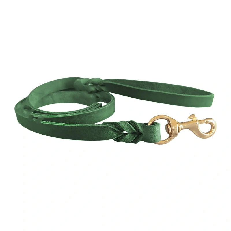 JXANRY Leather Full-Grain Dog Leash Cowhide with Brass Hook and Flip Pattern Stylish and Sweet for Summer Winter and Spring