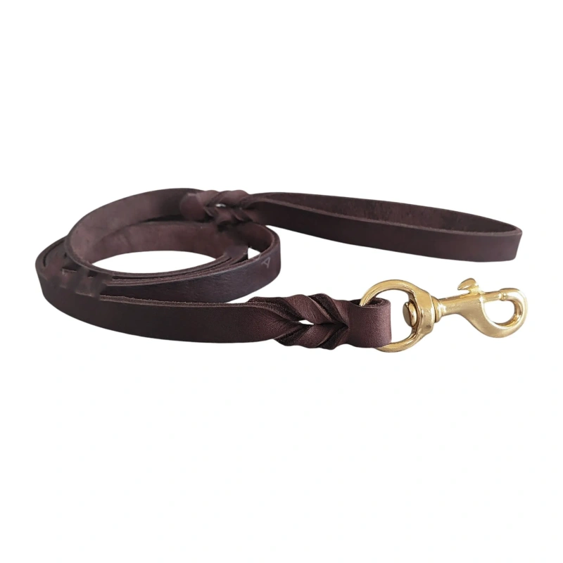 JXANRY Leather Full-Grain Dog Leash Cowhide with Brass Hook and Flip Pattern Stylish and Sweet for Summer Winter and Spring