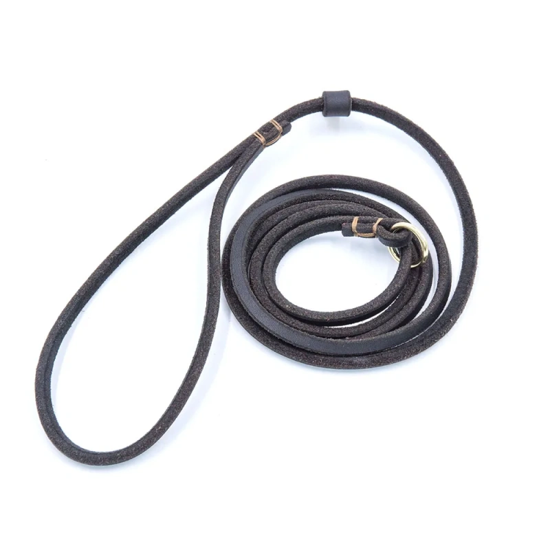 Soft Genuine Leather Pet Slip Leash Dog Lead and Collar Combo Adjustable for Small Dogs Puppy Walking Leash Doggy Slip P Chain