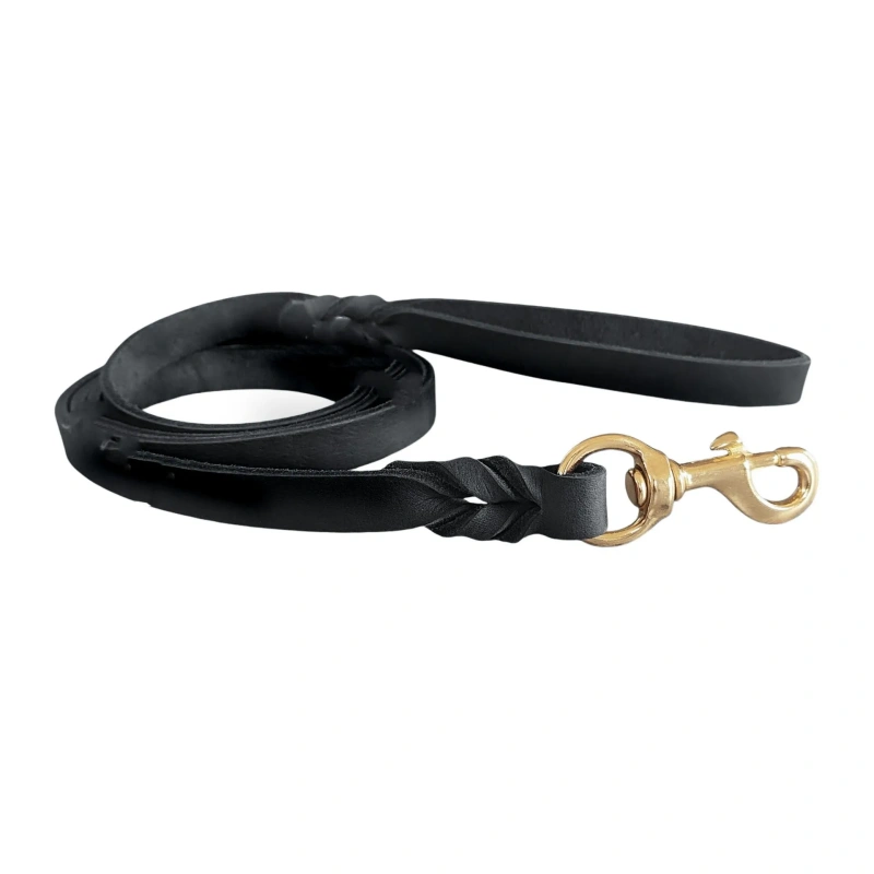 JXANRY Leather Full-Grain Dog Leash Cowhide with Brass Hook and Flip Pattern Stylish and Sweet for Summer Winter and Spring
