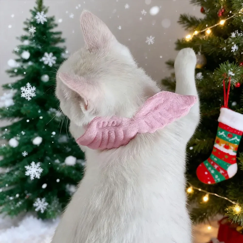 Cute Cat Accessories in Selections of Six Colors 3 Sizes Adjustable Angel Wings Cat Collar Available Pet Neck Accessory Pet Gift