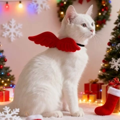 Cute Cat Accessories in Selections of Six Colors 3 Sizes Adjustable Angel Wings Cat Collar Available Pet Neck Accessory Pet Gift