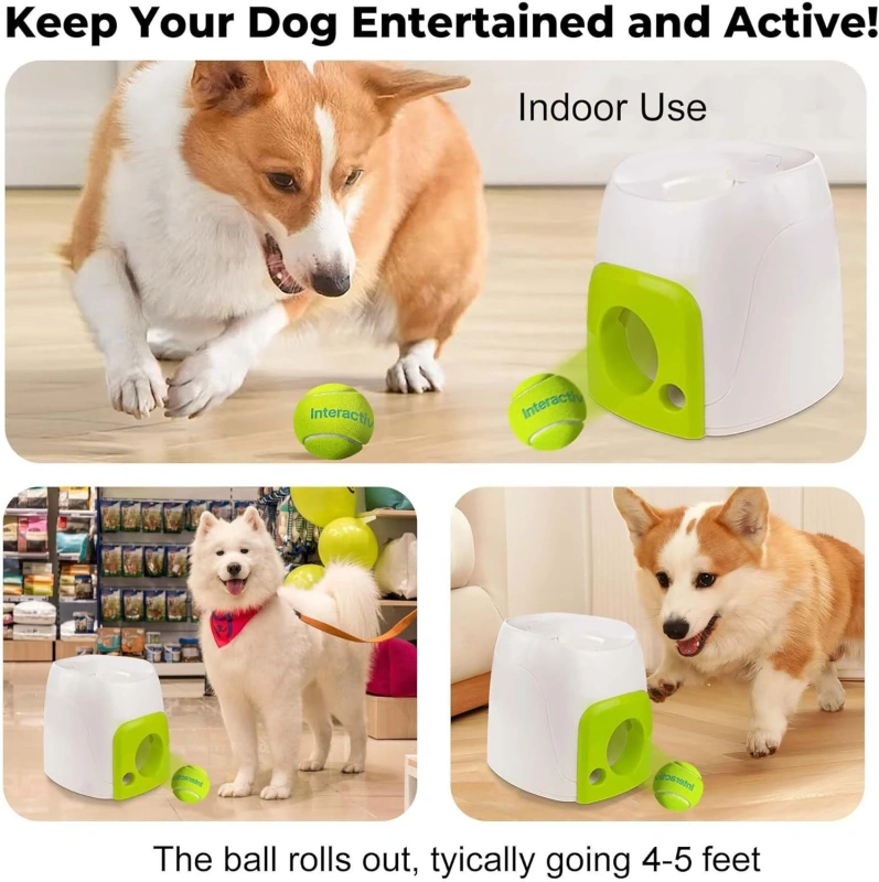 Wholesale Bulk AFP Pet Toys Classic Luxury Interactive Automatic Throw Ball Food Feeder Outdoor Indoor Training Product for Pets