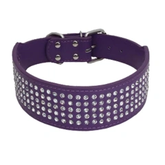Explosive Shiny Five-point Diamond Pet Collar, Large and Medium-sized Dog Collar, Embedded Diamond Dog Collar