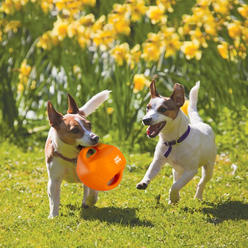 Pet outdoor tug-of-war sound ball toy