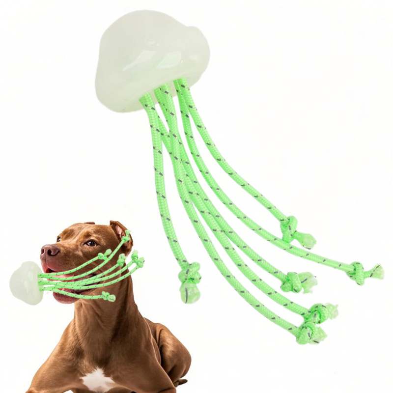 glow-in-the-dark jellyfish toy for dogs
