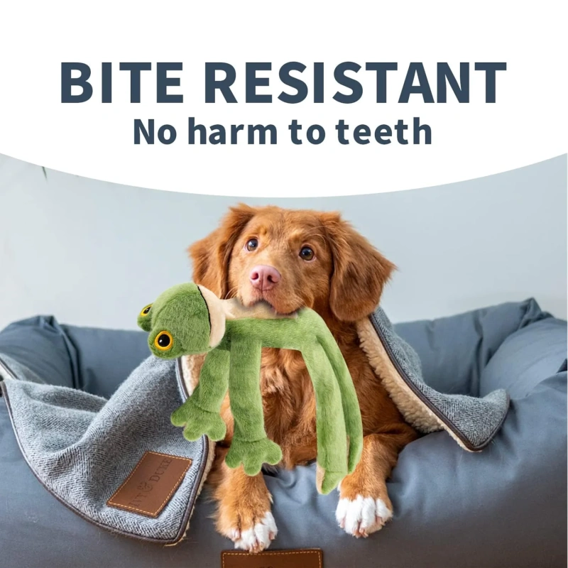 AFP Interactive Outdoor Fetch Toss Training Dog Soft Plush Squeaky Chew Toy Dental Teeth Cleaning Pet Chewing Tug-of-war Toy