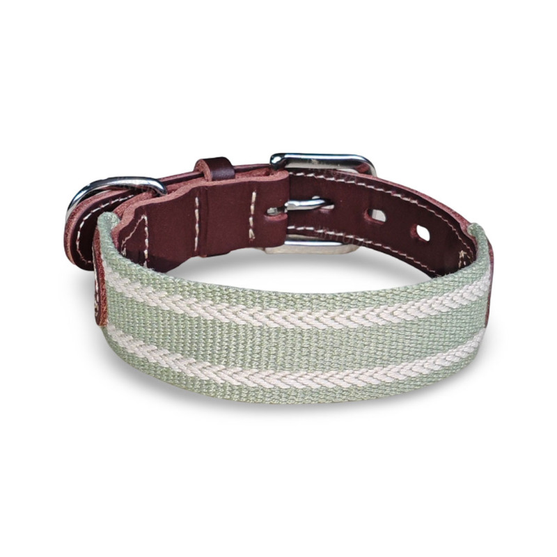 Genuine leather dog collar