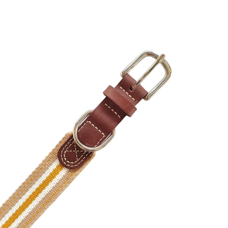 Designer Cowhide Patchwork Pet Collars Small-large Dog Collar Corgi Schnauzer Greyhound Correa Perro Dogs Accessories