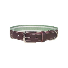 Designer Cowhide Patchwork Pet Collars Small-large Dog Collar Corgi Schnauzer Greyhound Correa Perro Dogs Accessories