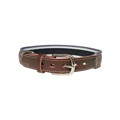 Designer Cowhide Patchwork Pet Collars Small-large Dog Collar Corgi Schnauzer Greyhound Correa Perro Dogs Accessories