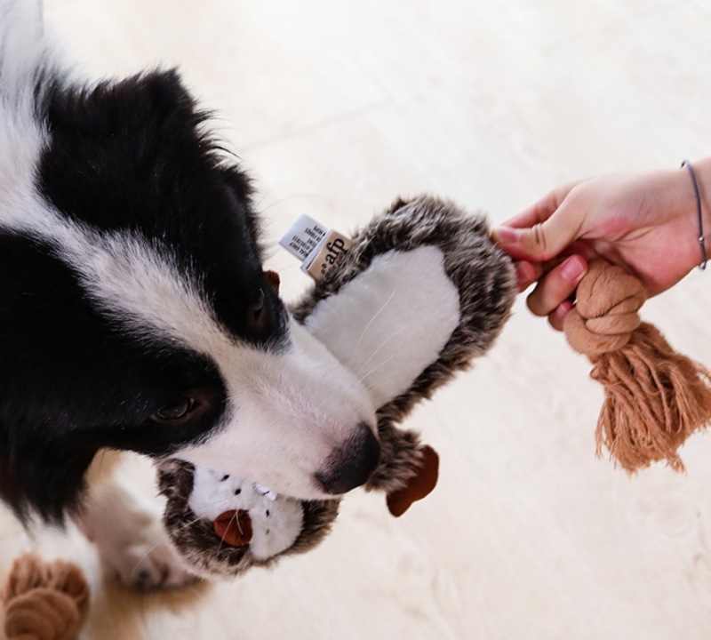 Pet Plush Toy Dog Chew Toy Dog Squeaky Toys