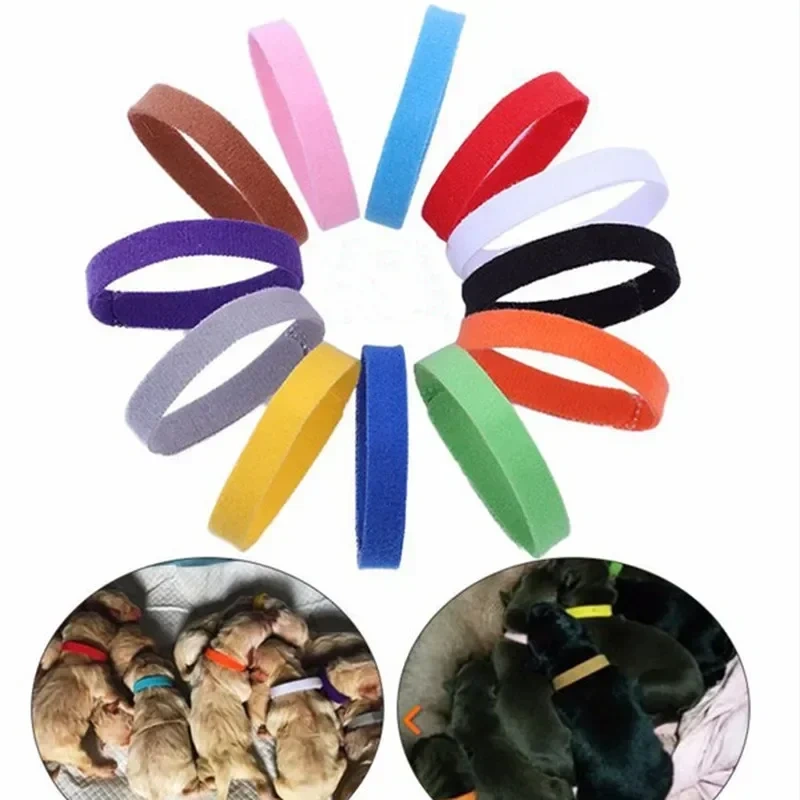 12Pcs/Set Puppy Collars Adjustable Nylon Newborn Pet Color Collar Small Pet Dog Collars Kitten Necklace Marker Rope Pet Supplies