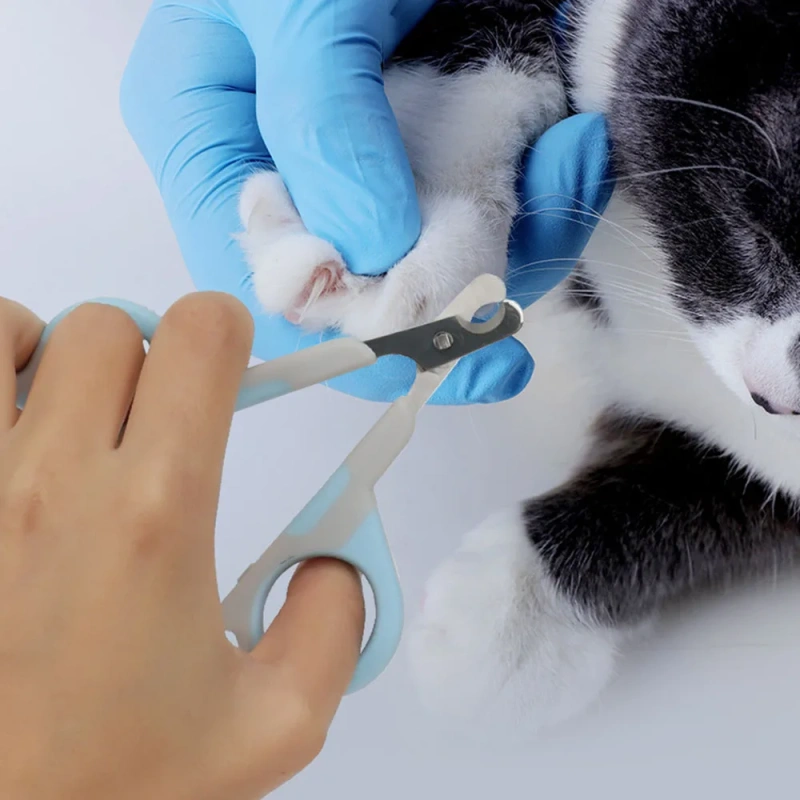 Pet Cat Nail Clippers, Professional Nail Scissors for Cats/Teddy Puppies, Sharp Dog Nail Cutters, Essential Pet Grooming Tools