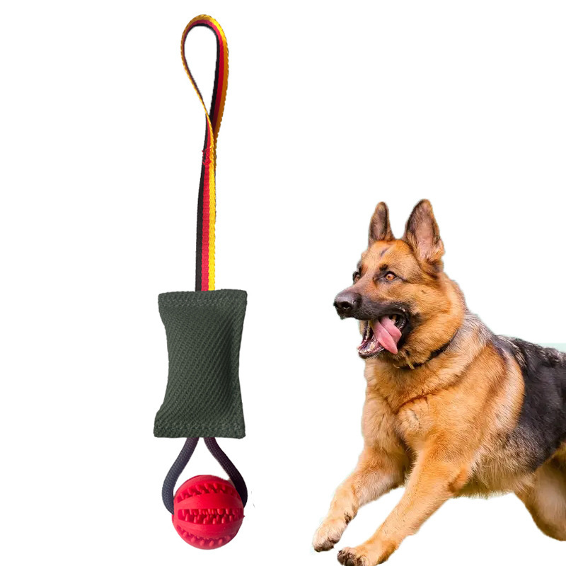 Pet Interactive Tug-of-War Toys