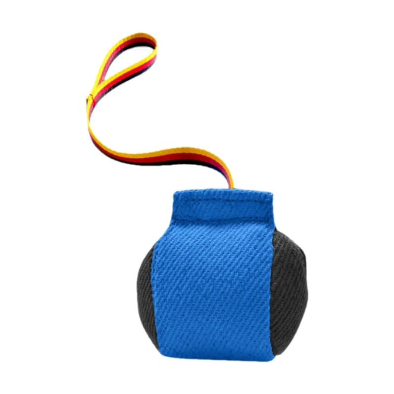 Dog Bite Tug Toy Training Equipment,Portable,Bite Resistant,Dog Bite Pillow Interactive Toy for Small Medium Dog Pet Toy