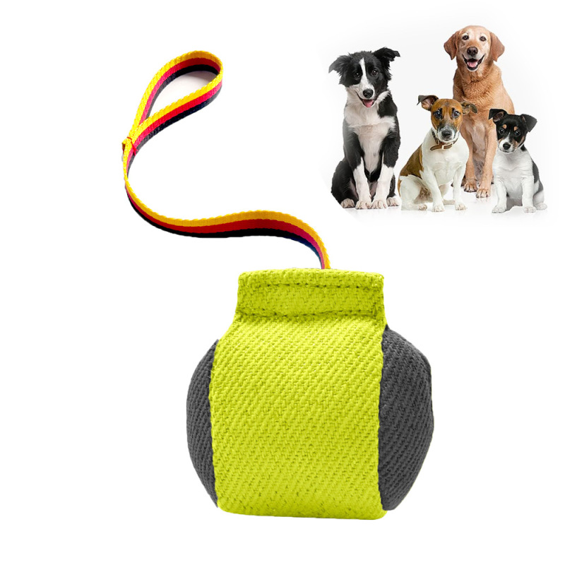 Dog Bite Tug Toy Training Equipment Bite Pillow Interactive Toy