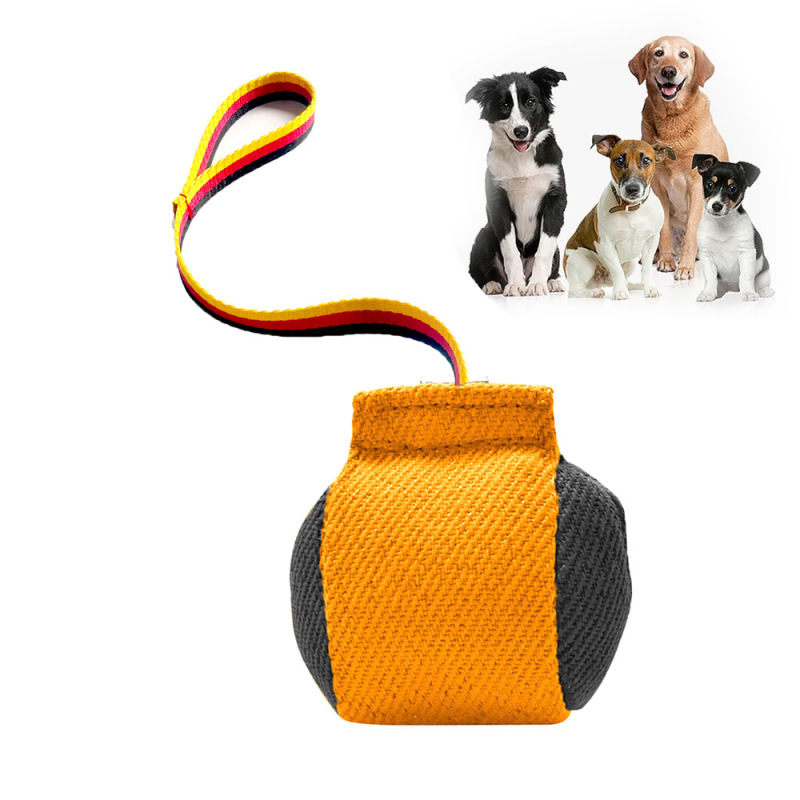 Dog Bite Tug Toy Training Equipment Bite Pillow Interactive Toy