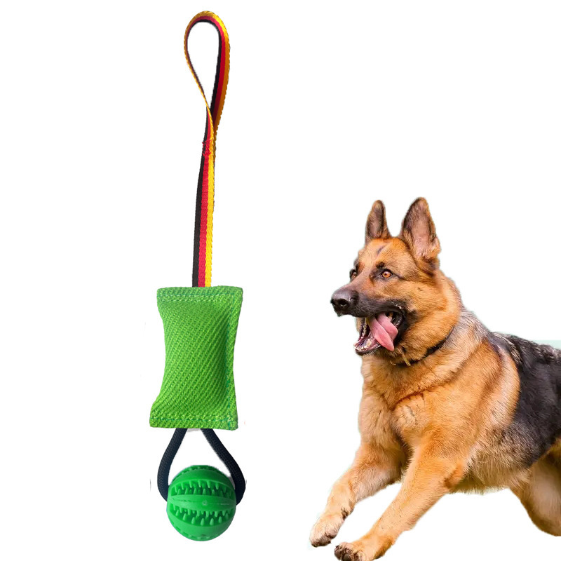 Pet Interactive Tug-of-War Toys