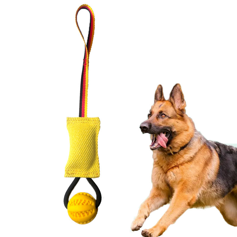 Pet Interactive Tug-of-War Toys