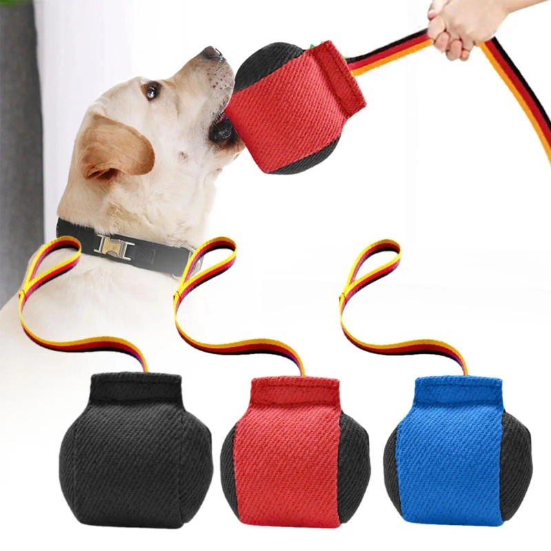Dog Bite Tug Toy Training Equipment,Portable,Bite Resistant,Dog Bite Pillow Interactive Toy for Small Medium Dog Pet Toy
