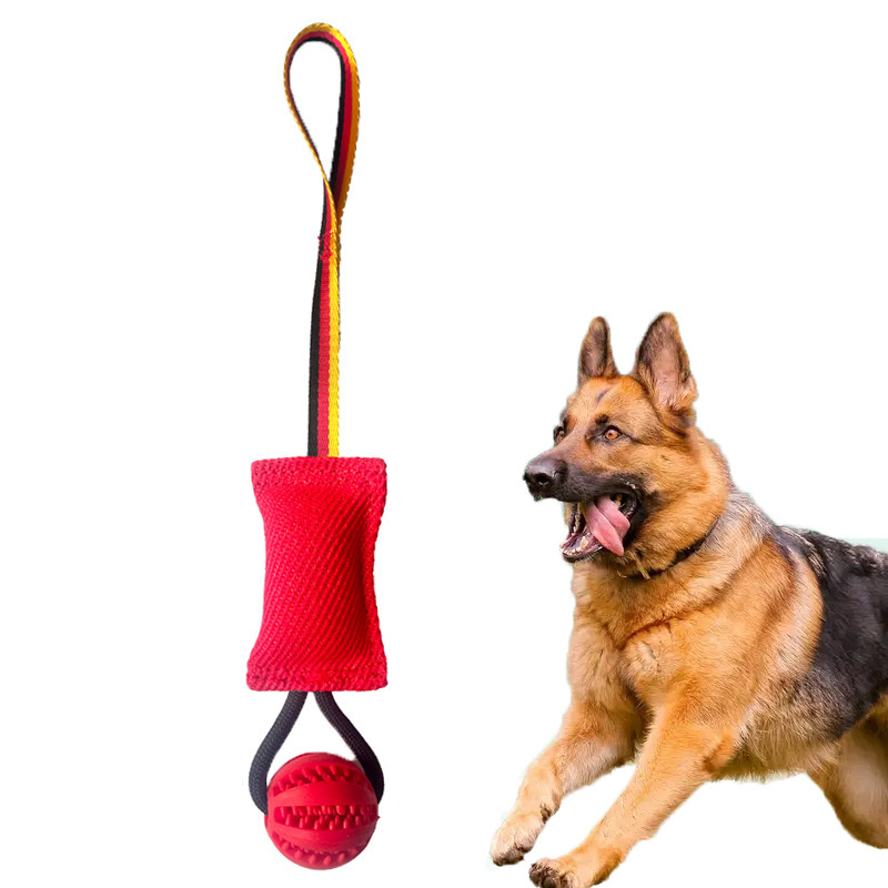 Pet Interactive Tug-of-War Toys