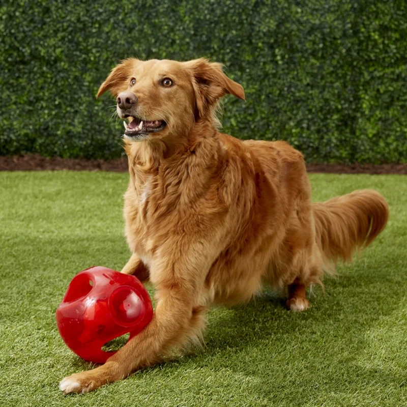 L/XL Size KONG Jumbler Ball Dog Toy, Color Varies