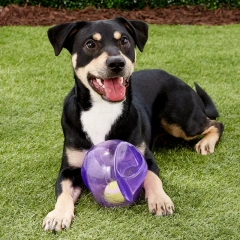 L/XL Size KONG Jumbler Ball Dog Toy, Color Varies