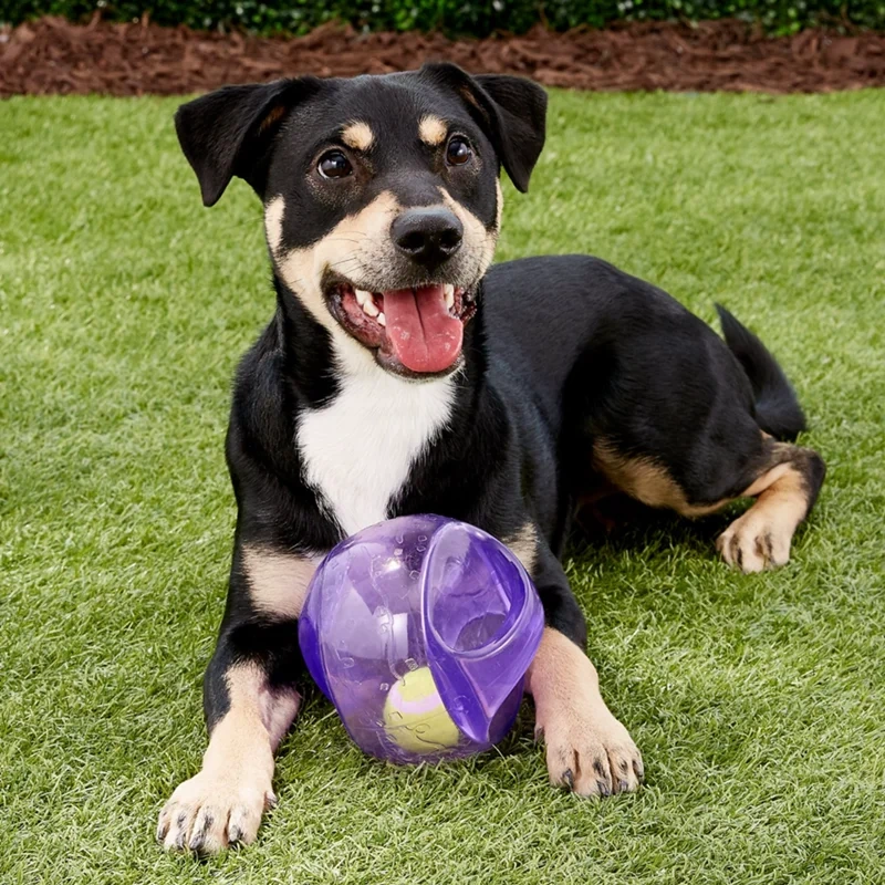 L/XL Size KONG Jumbler Ball Dog Toy, Color Varies