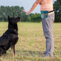 Dog Treat Pouch Magnetic Closure Puppy Training Waist Bag Puppies Goodie Treat Pouch With Waist Belt For Behavior Aids