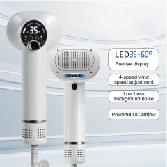 Pet Hair Brush Dryer, for Dogs and Cats, 2-in-1 Dog Hair Dryer with Slicker Brush, Portable, Adjustable Wind Speed & Temperature